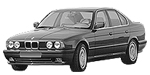 BMW E34 C251A Fault Code